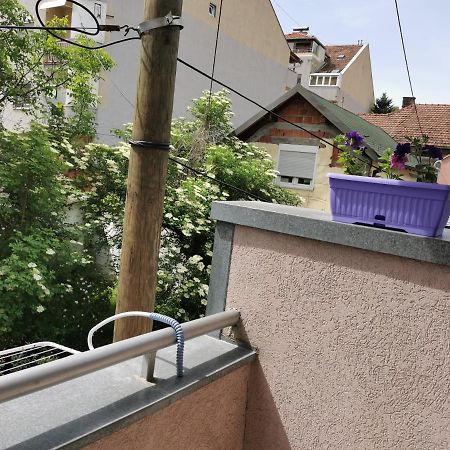 Apartmani Milica Kruševac المظهر الخارجي الصورة