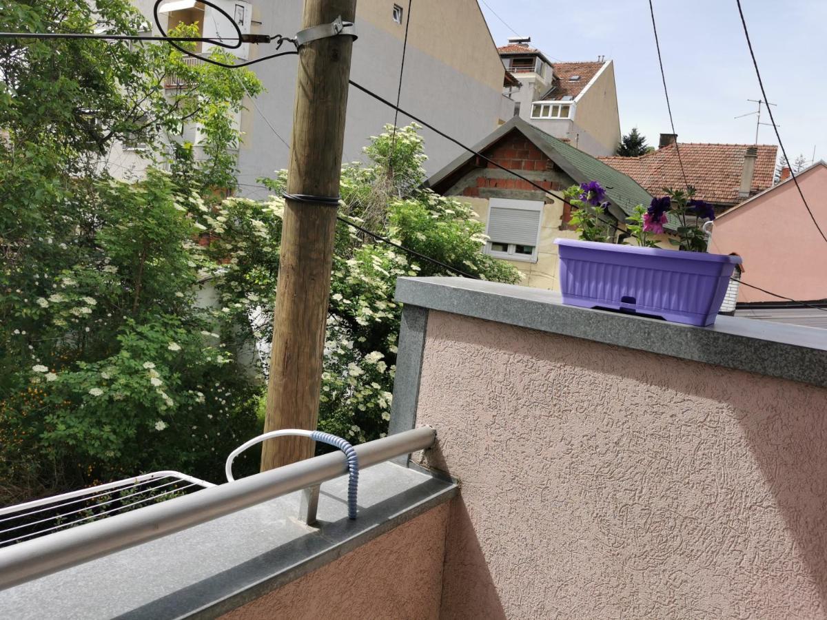 Apartmani Milica Kruševac المظهر الخارجي الصورة